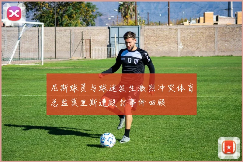 尼斯球员与球迷发生激烈冲突体育总监莫里斯遭殴打事件回顾