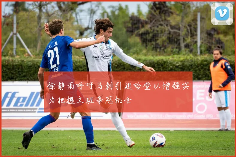 徐静雨呼吁马刺引进哈登以增强实力把握文班争冠机会