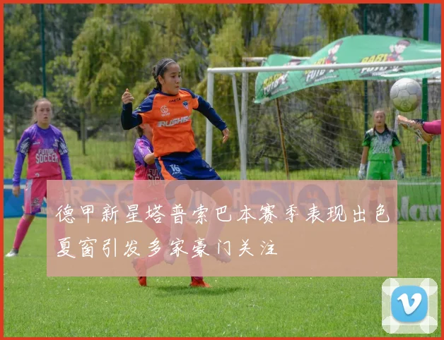 德甲新星塔普索巴本赛季表现出色夏窗引发多家豪门关注