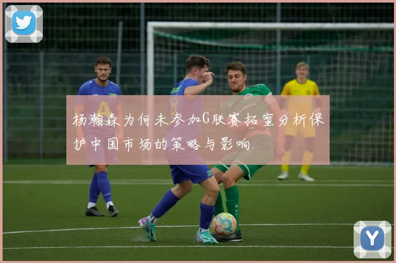 杨瀚森为何未参加G联赛拓蜜分析保护中国市场的策略与影响