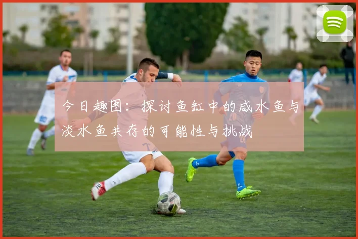 今日趣图：探讨鱼缸中的咸水鱼与淡水鱼共存的可能性与挑战